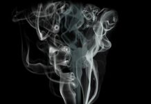 Dlaczego warto korzystać z młynku do tytoniu
