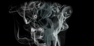 Dlaczego warto korzystać z młynku do tytoniu